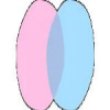 User's Picture