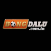 User's Picture