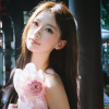 User's Picture