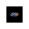 User's Picture