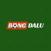 User's Picture
