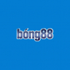 User's Picture