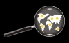 User's Picture