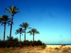 User's Picture