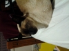 User's Picture