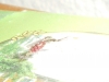 User's Picture