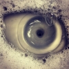 User's Picture