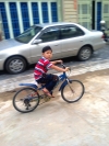 User's Picture