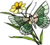User's Picture
