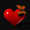 User's Picture