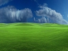 User's Picture