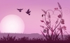 User's Picture