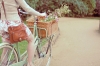 User's Picture