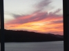 User's Picture