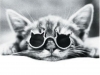 User's Picture
