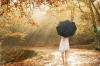 User's Picture