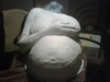User's Picture