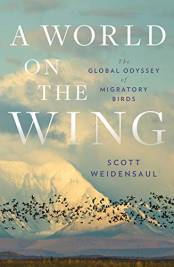 A World On The Wing