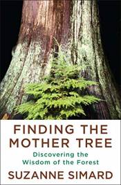 Finding The Mother Tree